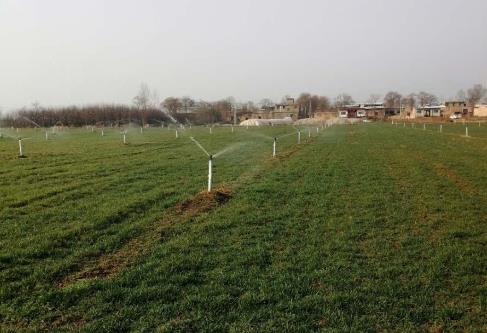 無公害試驗田噴灌