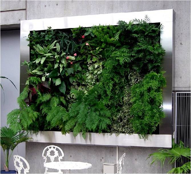 辦公室綠化裝飾的原則