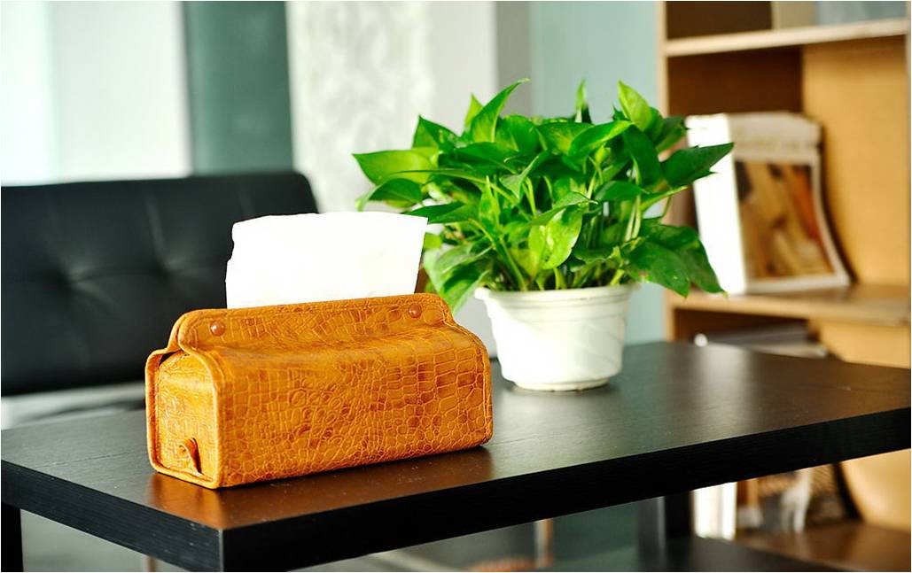 辦公室不同空間如何進行綠化裝飾