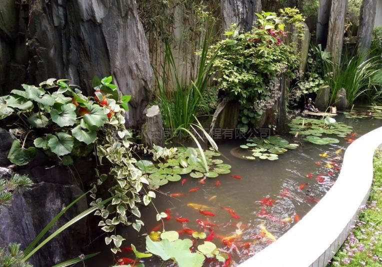 園林景觀水池的功能及設(shè)計(jì)理念