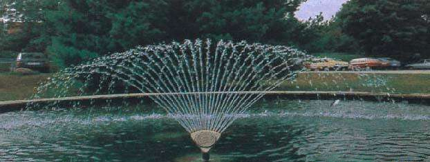 【噴泉】鳳尾噴頭