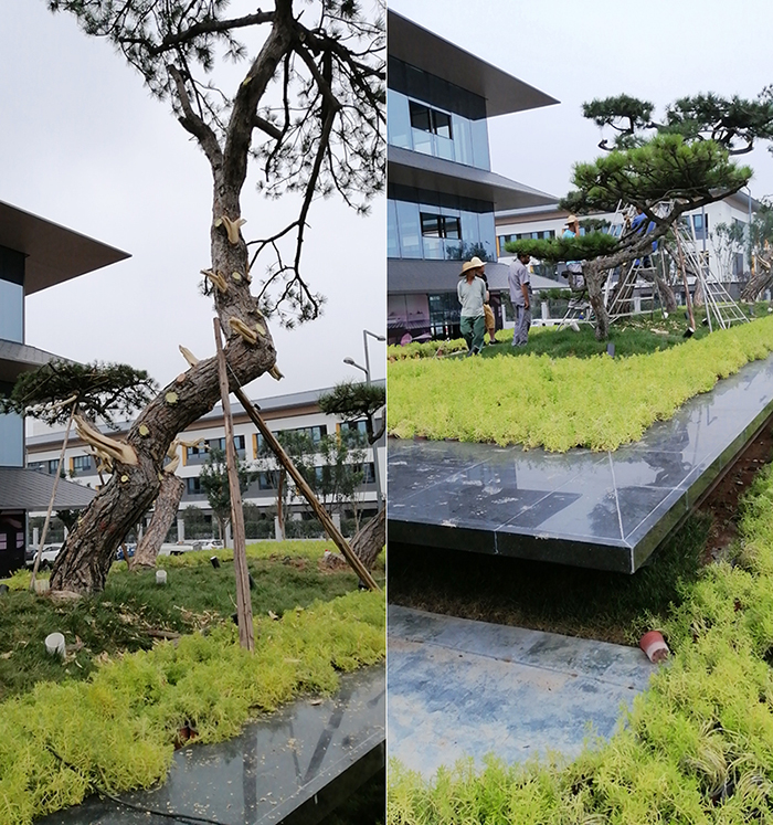 曲江某地產(chǎn)項(xiàng)目噴霧造景工程案例